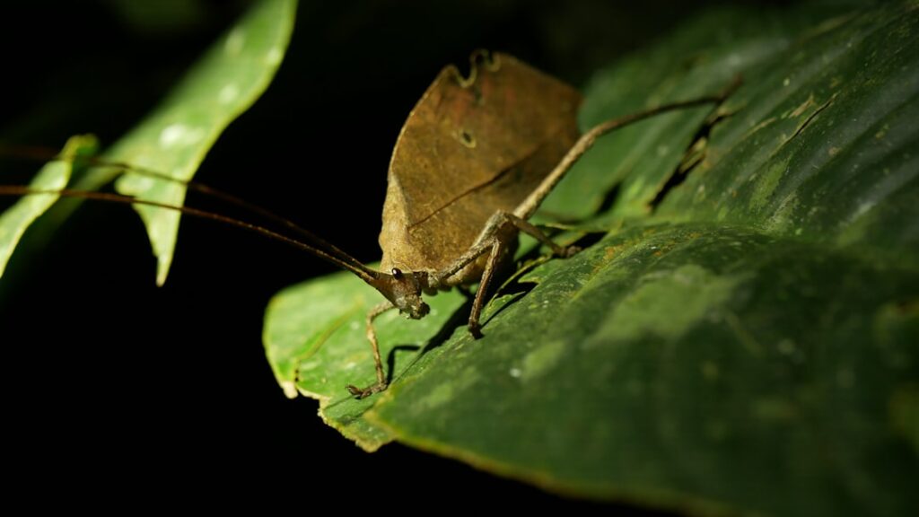 découvrez les meilleures techniques et stratégies de dissimulation pour protéger vos informations et garantir votre confidentialité.